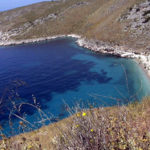 Undecided About My Summer Vacations